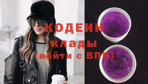 индика Медногорск