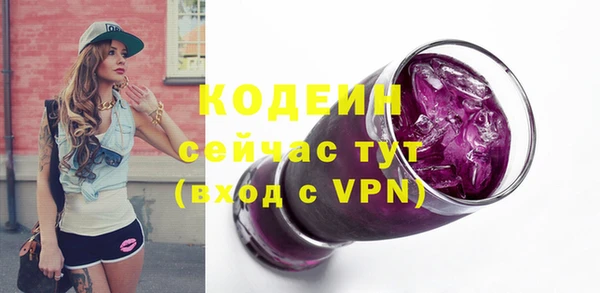 индика Медногорск