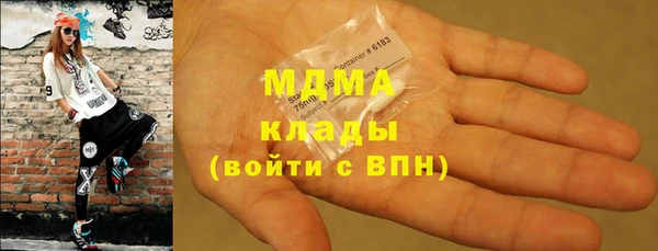индика Медногорск