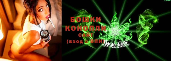 сатива Михайловск