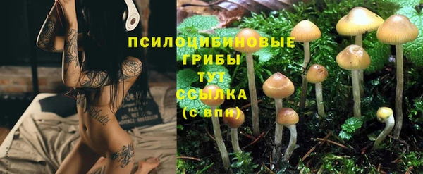 бошки Михайловка