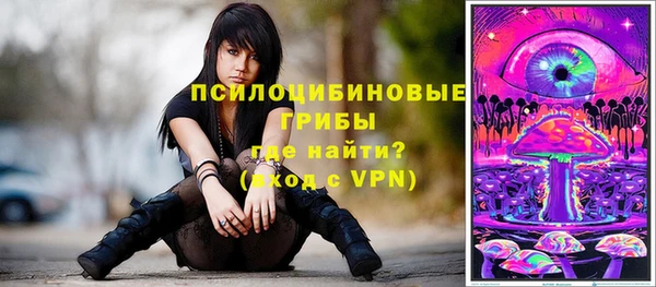 mdpv Медвежьегорск